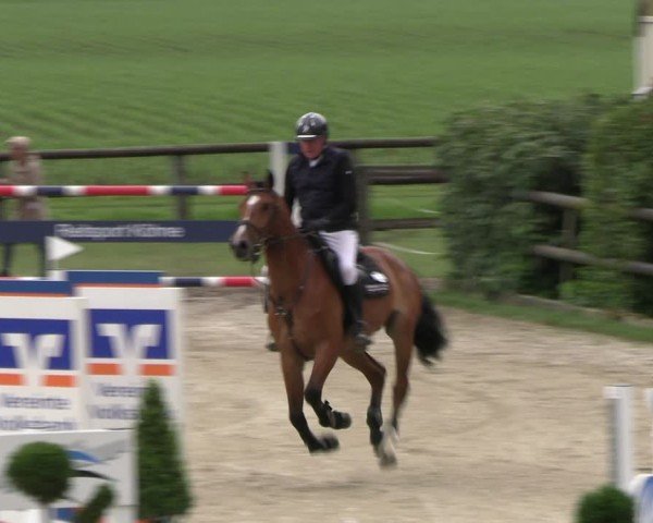 Reitturnier Kirchhellen/Stall Dieckmann 2024