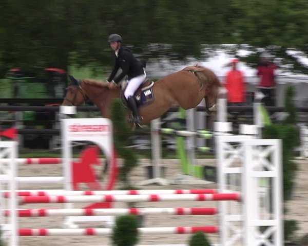 Reitturnier Kirchhellen/Stall Dieckmann 2024