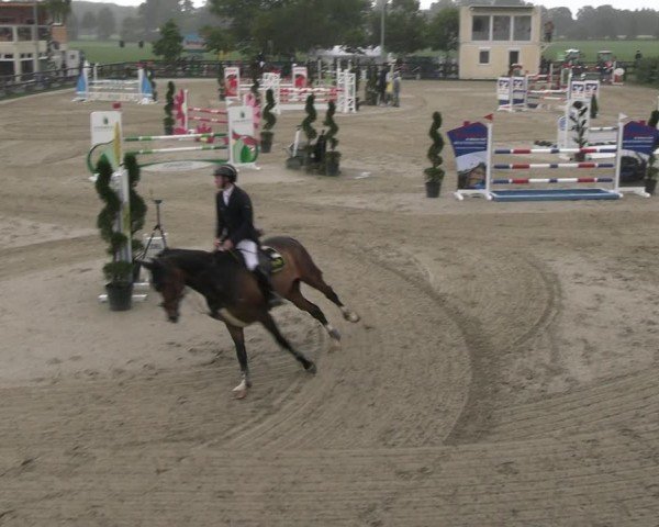 Reitturnier Kirchhellen/Stall Dieckmann 2024