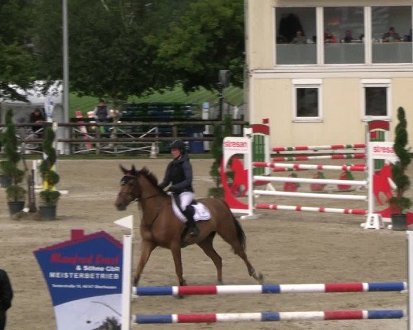 Reitturnier Kirchhellen/Stall Dieckmann 2024