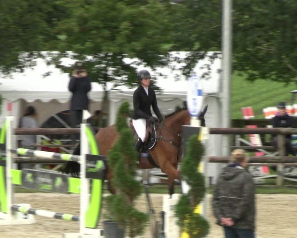 Reitturnier Kirchhellen/Stall Dieckmann 2024