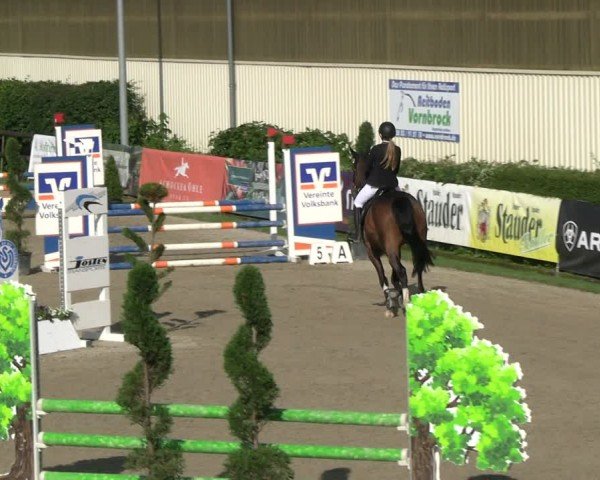 Reitturnier Kirchhellen/Stall Dieckmann 2024