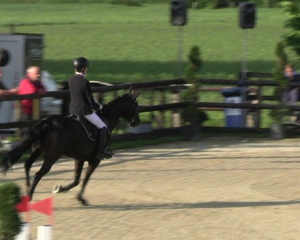 Reitturnier Kirchhellen/Stall Dieckmann 2024