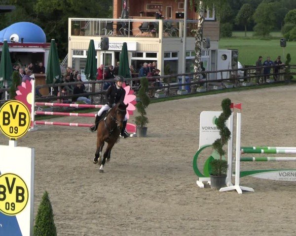Reitturnier Kirchhellen/Stall Dieckmann 2024