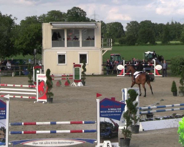 Reitturnier Kirchhellen/Stall Dieckmann 2024