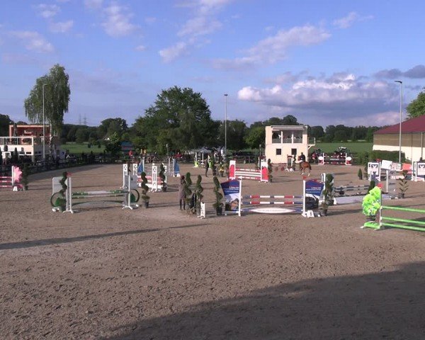 Reitturnier Kirchhellen/Stall Dieckmann 2024