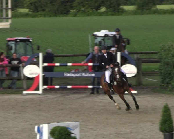 Reitturnier Kirchhellen/Stall Dieckmann 2024