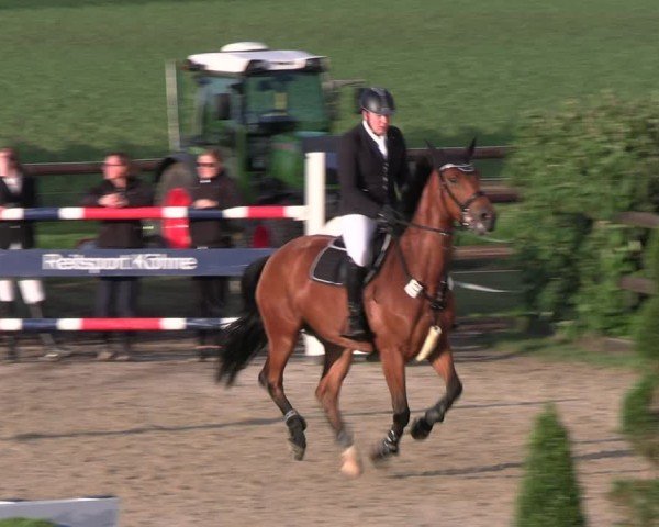 Reitturnier Kirchhellen/Stall Dieckmann 2024