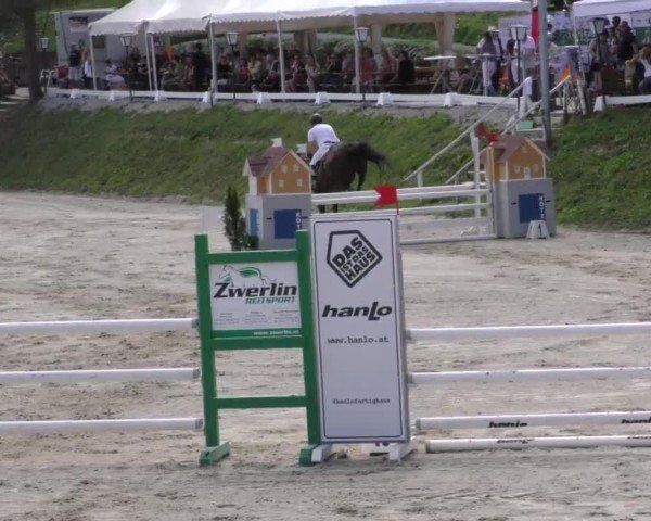 Reitturnier Preding 2022