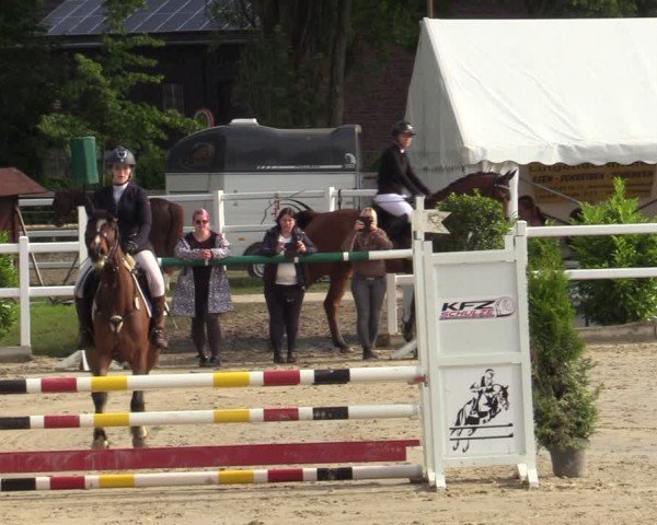 Reitturnier Dortmund-Somborn 2024