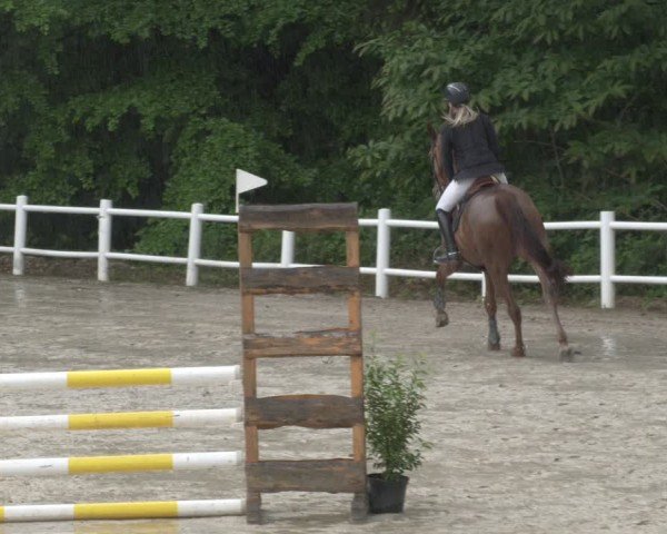 Reitturnier Losheim am See 2024