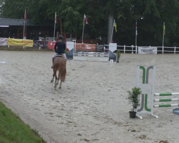 Reitturnier Losheim am See 2024