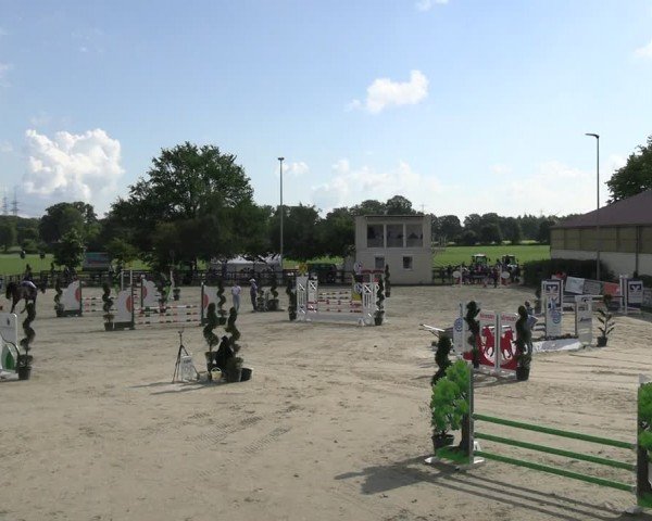 Reitturnier Kirchhellen/Stall Dieckmann 2024