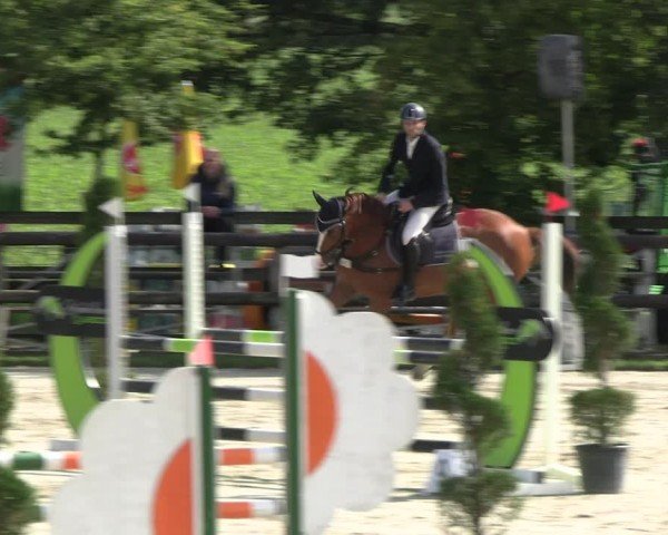 Reitturnier Kirchhellen/Stall Dieckmann 2024