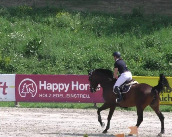 Reitturnier Zeltweg-Farrach 2022