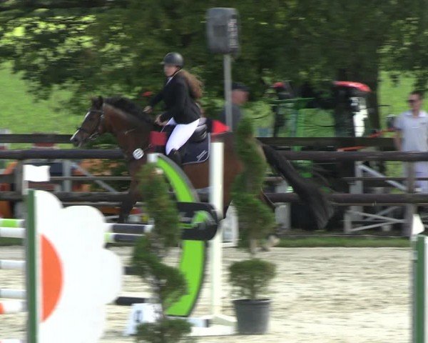 Reitturnier Kirchhellen/Stall Dieckmann 2024