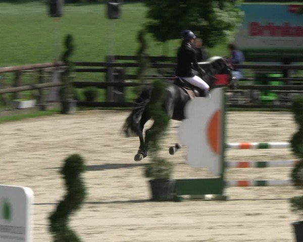 Reitturnier Kirchhellen/Stall Dieckmann 2024