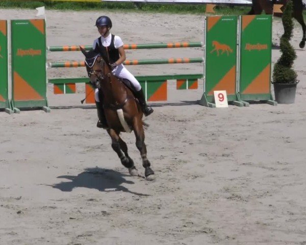 Reitturnier Zeltweg-Farrach 2022