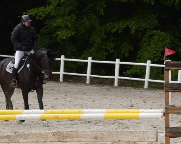 Reitturnier Losheim am See 2024