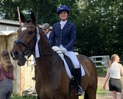 dressage horse For Romance ST (Westphalian, 2012, from Fidertanz)