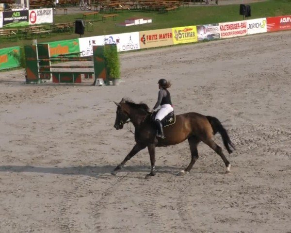 Reitturnier Zeltweg-Farrach 2022