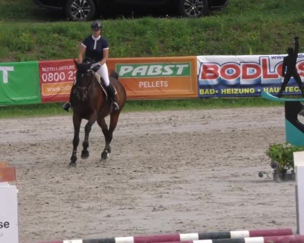 Reitturnier Zeltweg-Farrach 2022