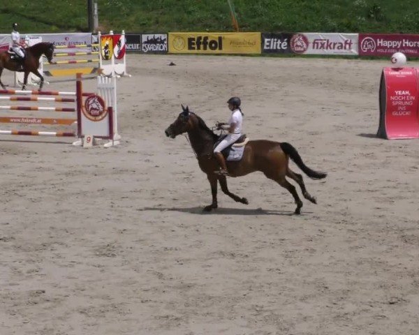 Reitturnier Zeltweg-Farrach 2022