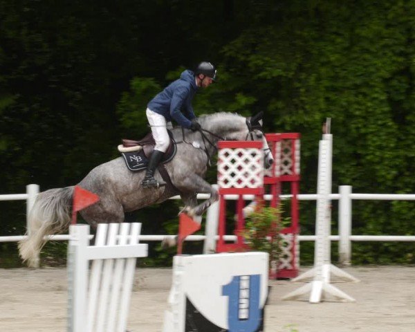 Reitturnier Losheim am See 2024