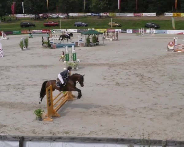 Reitturnier Zeltweg-Farrach 2022