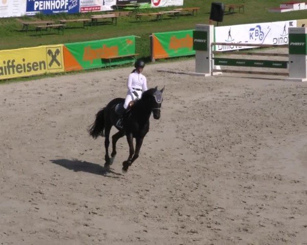 Reitturnier Zeltweg-Farrach 2022