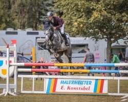 Springpferd Mon Amie B 3 (Deutsches Sportpferd, 2017, von Mont Blanc 34)