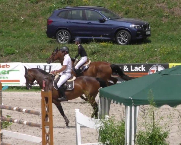 Reitturnier Zeltweg-Farrach 2022