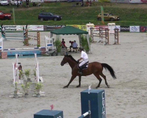 Reitturnier Zeltweg-Farrach 2022