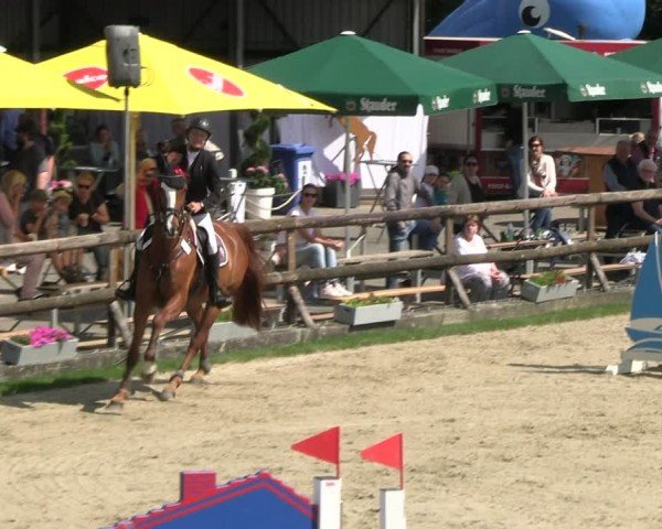 Reitturnier Kirchhellen/Stall Dieckmann 2024
