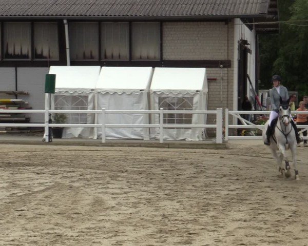 Reitturnier Dortmund-Somborn 2024