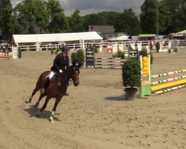 Reitturnier Dortmund-Somborn 2024