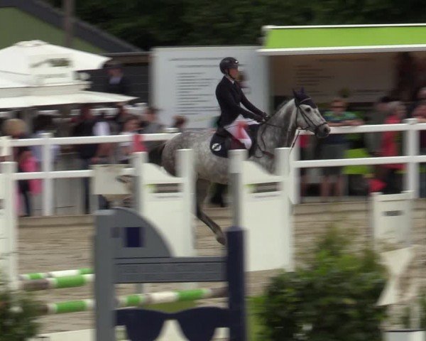 Reitturnier Dortmund-Somborn 2024