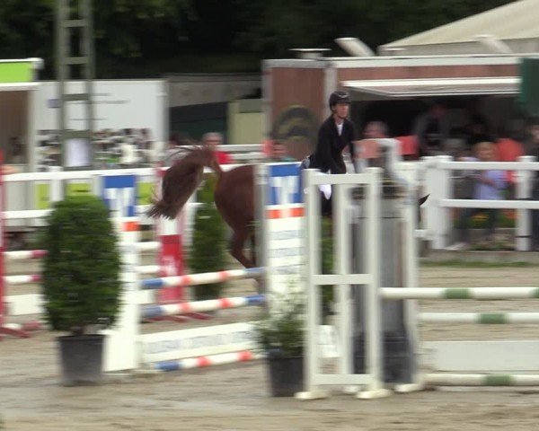 Reitturnier Dortmund-Somborn 2024