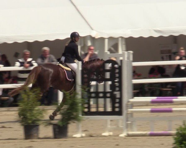 Reitturnier Dortmund-Somborn 2024