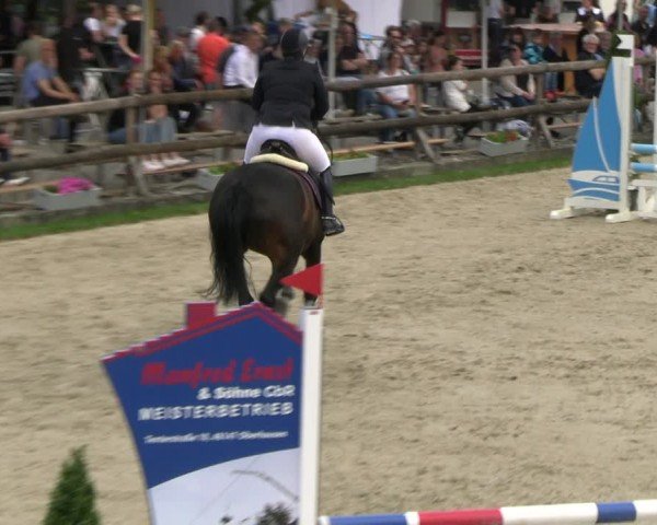 Reitturnier Kirchhellen/Stall Dieckmann 2024