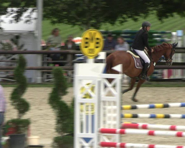 Reitturnier Kirchhellen/Stall Dieckmann 2024