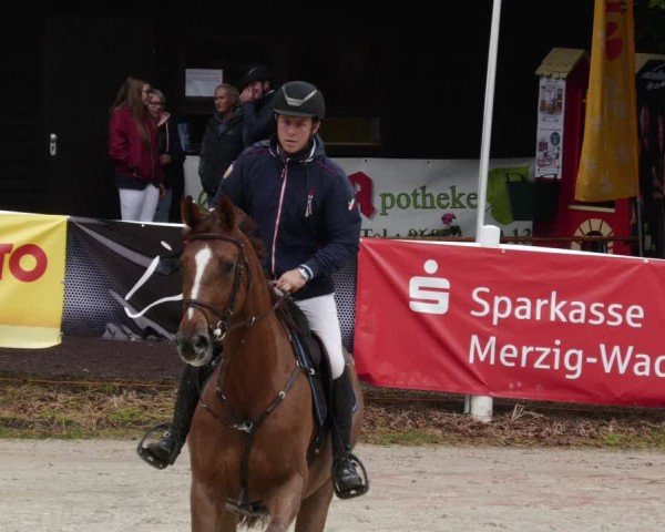 Reitturnier Losheim am See 2024