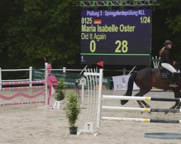 Reitturnier Losheim am See 2024