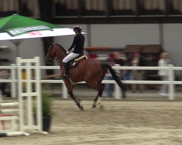 Reitturnier Dortmund-Somborn 2024