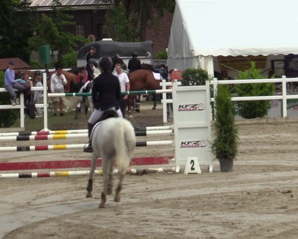 Reitturnier Dortmund-Somborn 2024