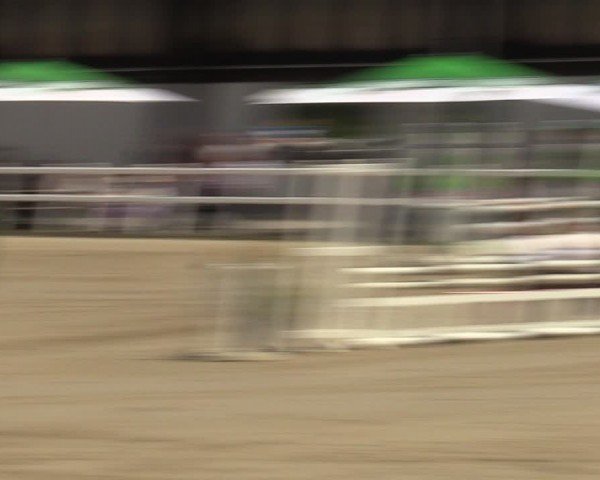 Reitturnier Dortmund-Somborn 2024