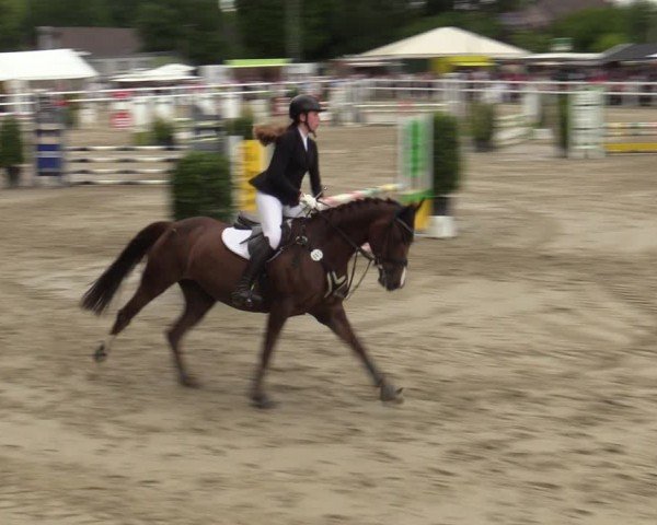Reitturnier Dortmund-Somborn 2024