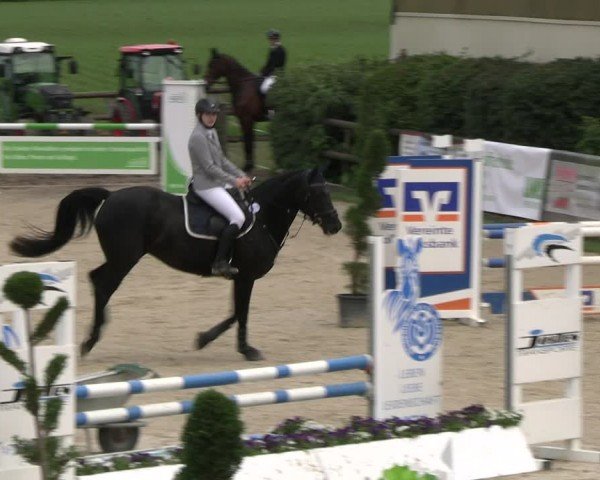 Reitturnier Kirchhellen/Stall Dieckmann 2024