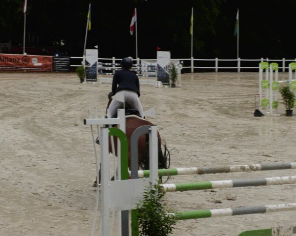 Reitturnier Losheim am See 2024
