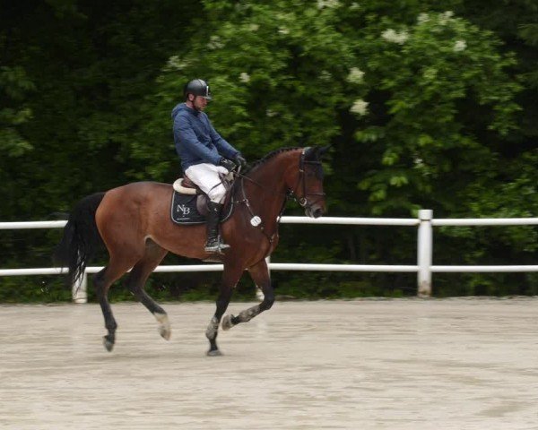 Reitturnier Losheim am See 2024